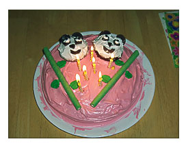 Birthday Cake Decorating Ideas 1 Furniture Graphic