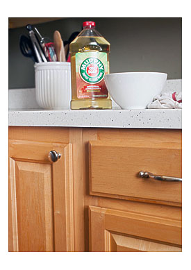 Kitchen Brush With Detergent Holder