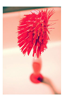 Brush