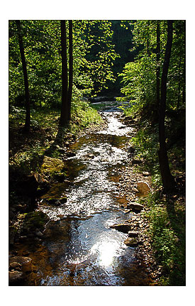 Her Gap Rd, West Virginia