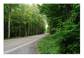 George Washington Nationalist Forest