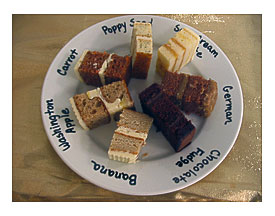Mixture Samples