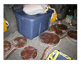 cake in the van