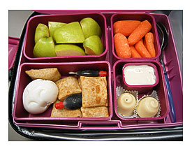 laptop_lunchbox 2007.01.05