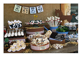 Cake For Cowboy Birthday Party Ideas 