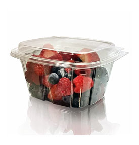 Packaging Hinged Containers 16 Oz Tamper Evident Clamshell – 200