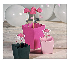 Diy Cake Pop Box Clear Boxes For Cake Pops