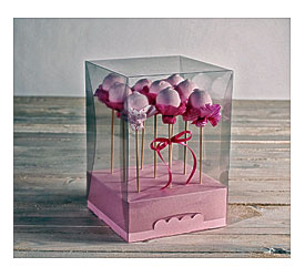 SelfPackaging English STAY CALM, WE HAVE BOXES FOR A CAKE POP