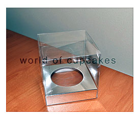 Single Box Silver Insert