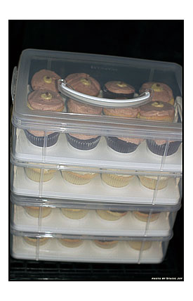Bosom cancer benefit cupcakes