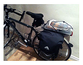 Cass's Cup Cake Carrying Cannondale