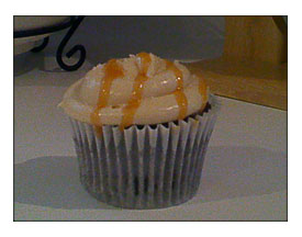 Cupcake Adventure