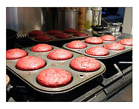 Target Cupcake Carrier Related Keywords Target Cupcake Carrier Long
