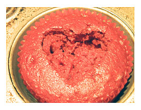 Target Cupcake Carrier Related Keywords Target Cupcake Carrier Long