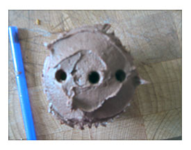 1600 X 1200 Jpeg 421kB, Science Matters Mining Cupcake Core Samples