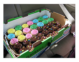 Cupcakes for Emory's 1st birthday