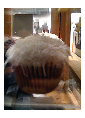 Coconut cupcake, display case, The Steeping Extent, Austin