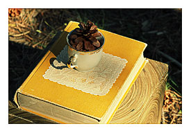 Fortify Coasters, Ivory Vintage flower design Shabby Chic Wedding decoration Set of 6 plastic lace Compound coasters