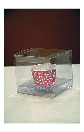 Perfect cupcake boxes