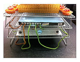 Splendid licorice wiring