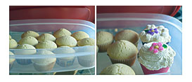 Cupcake Container Ideas