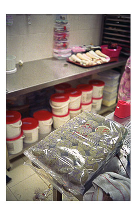 35EM Cupcakes Wrapped