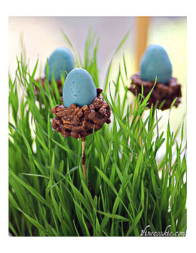 Nesting Egg Cake Pops