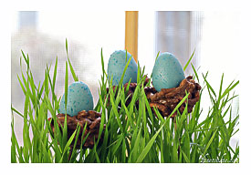 Nesting Egg Cake Pops