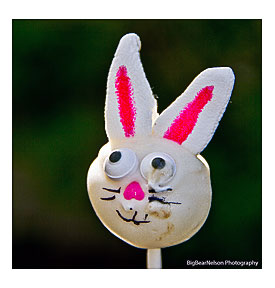 Easter Egg Through with a fine tooth comb, 2012