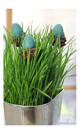 Nesting Egg Cake Pops