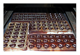 Elephants And Pandas And Chocolates, Oh My Tien Chiu's Blog