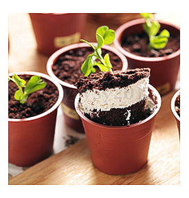 Flower Pot Shape Muffin Cupcake Case Pan Baking Cup Cake Mold Set With