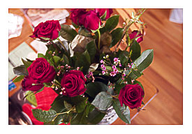 Red rose from In general Food market