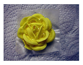 Diary Of A Cake Stylist Icing Flowers Royal Icing