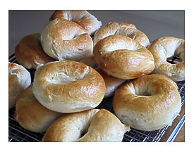 Untried Plain Bagels Nevaeh has to have her bagel and cream cheese every morning for breakfast.