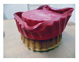 How To Make A Giant Cupcake She Who Bakes