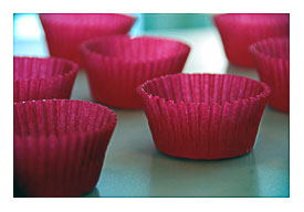 Had Searched High And Low Before The Snickerdoodle Cupcake Endeavor