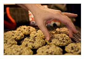 chewy oatmeal chocolate chunk (365.339)