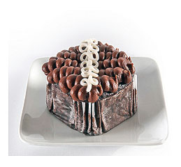 Chocolate Mallow Infused Cupcake