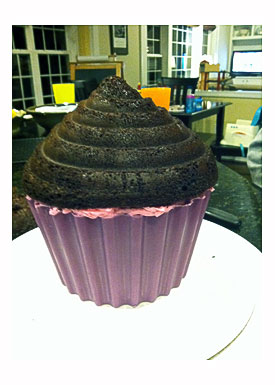 Posted By Susan The Weekly Sweet Experiment At 106 PM