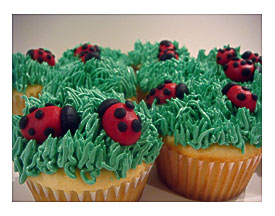 FileLadybug Wikimedia Commons