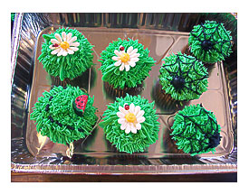 Tattle and Bug Cupcakes 1