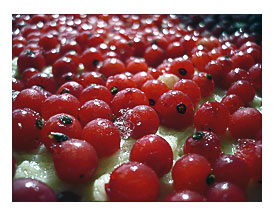 Finnish Redcurrant Cake