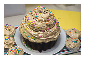 Honey I Blew Up the Cupcake