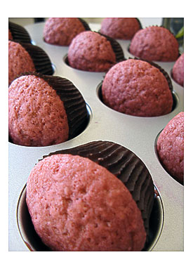 Blood Orange Cupcakes Cooling