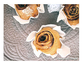 Parchment Paper Cupcake Liners