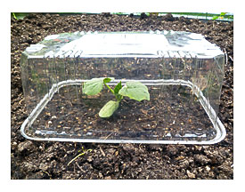 Trash Hacker Plastic Produce Or Bakery Box = Mini Greenhouse Trash
