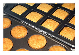 All The Pretty Cupcakes How To Make Square Cupcakes