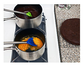 Blueberry Papaya Cucumber Vitality and Chocolate Cake with Ganache09of9