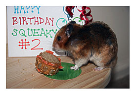 What you aim there's no special treats UNDER the cake!?!?